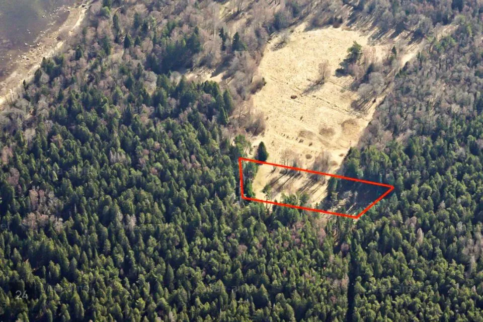 Maatulundusmaa, 5355 m² Maa - Kuusalu vald, Virve küla - foto 2