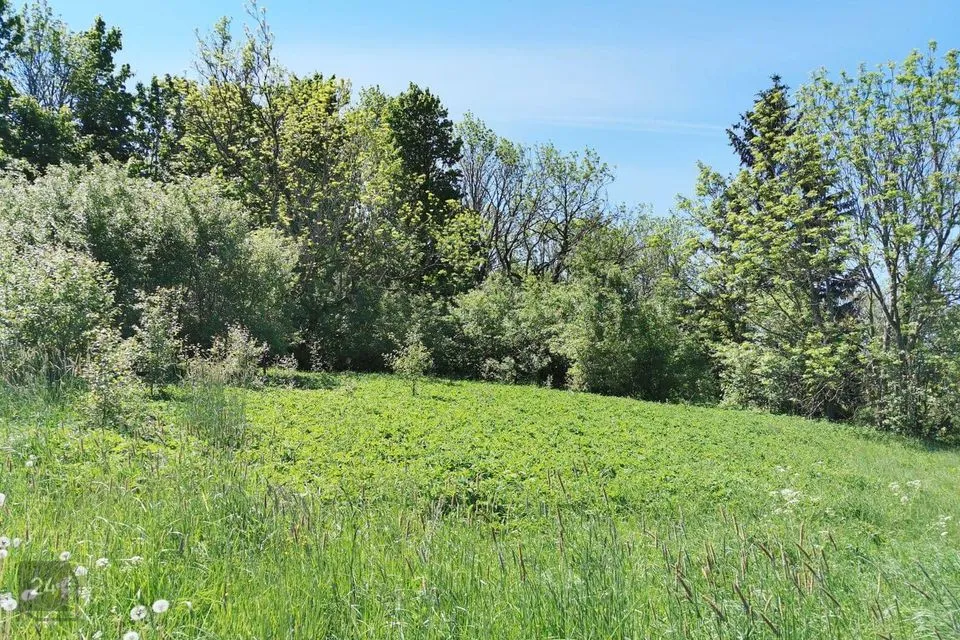 18296 m² участок в Lääne-Nigula vald, Suur-Nõmmküla / Klottorp - фото 4