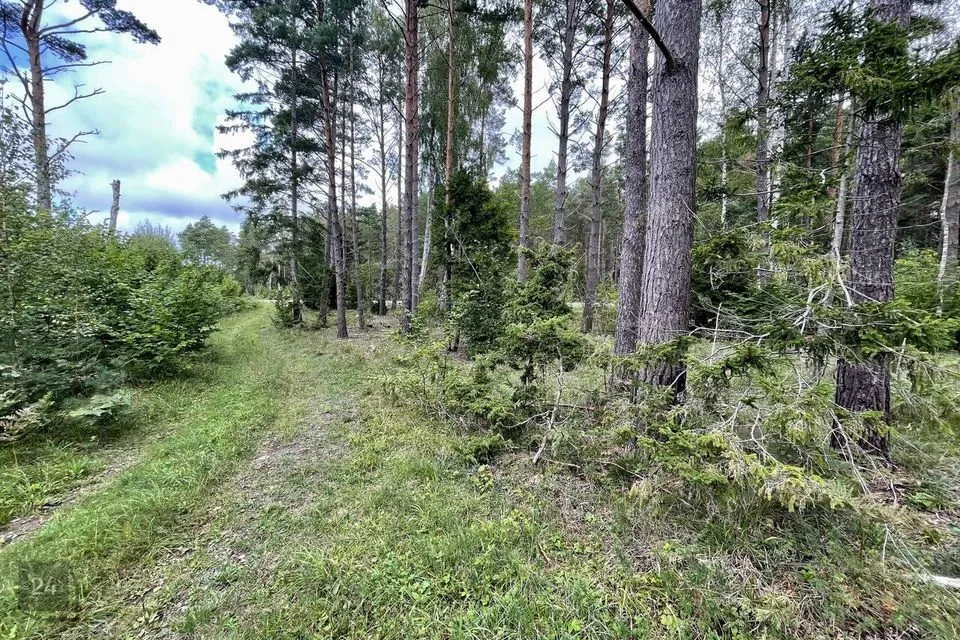 Maatulundusmaa, 25900 m² участок в Saaremaa vald, Hänga küla - фото 2