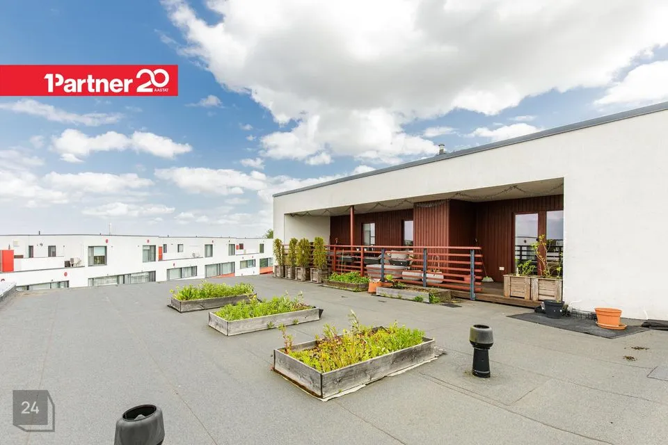 5-toaline Korter  -  Rae vald, Peetri alevik - foto 2