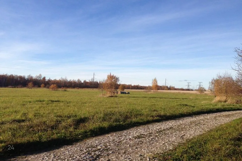 Maatulundusmaa, 174500 m² Maa  -  Jõhvi vald, Päite küla - foto 5