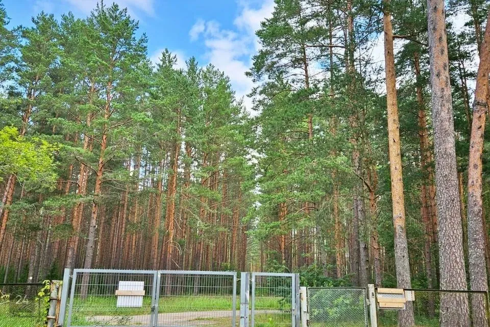 Riigikaitsemaa, 3000 m² Maa - Narva-Jõesuu linn, Narva-Jõesuu linn - foto 2