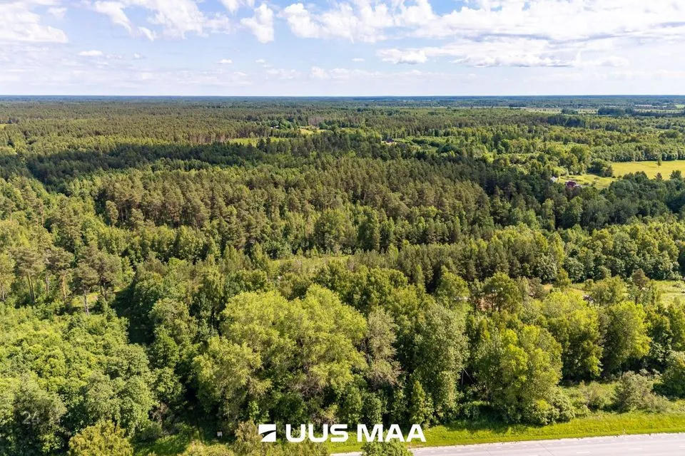 Maatulundusmaa, 6410 m² участок в Haapsalu linn, Vilkla küla - фото 3