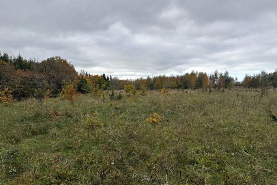 Maatulundusmaa, 20063 m² Maa - Saaremaa vald, Pöide-Keskvere küla - foto 2