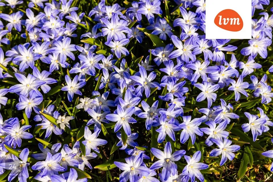 5-toaline Maja  -  Rae vald, Lagedi alevik - foto 5