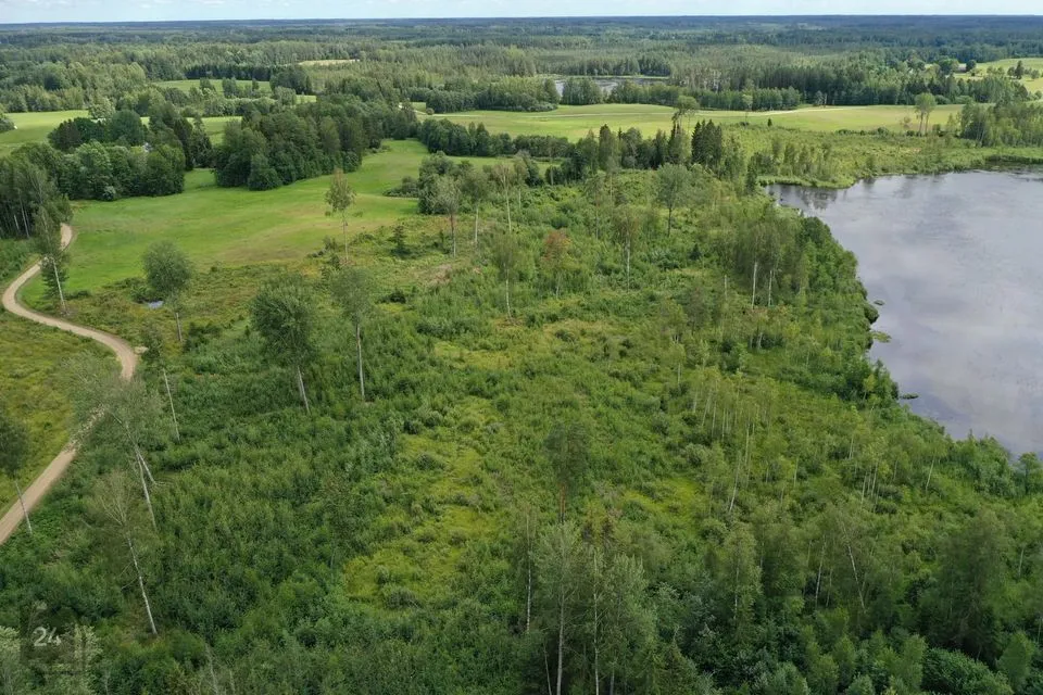 Maatulundusmaa, 35100 m² участок в Rõuge vald, Preeksa küla