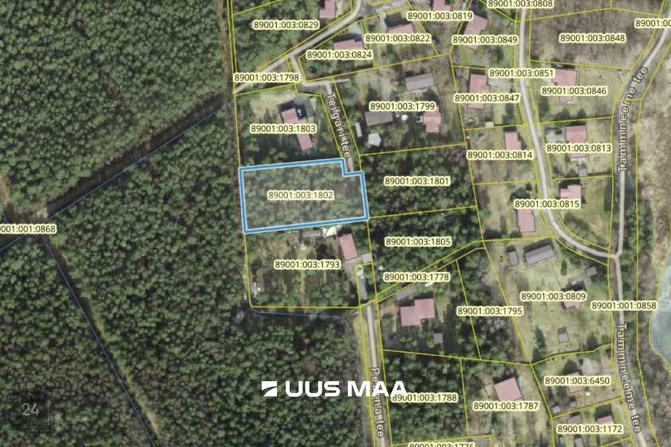 Земля жилой застройки, 3516 m² участок в Viimsi vald, Tammneeme küla - фото 4