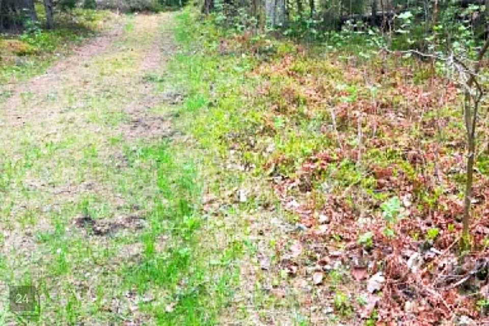 Maatulundusmaa, 14815 m² участок в Hiiumaa vald, Kaleste küla - фото 5