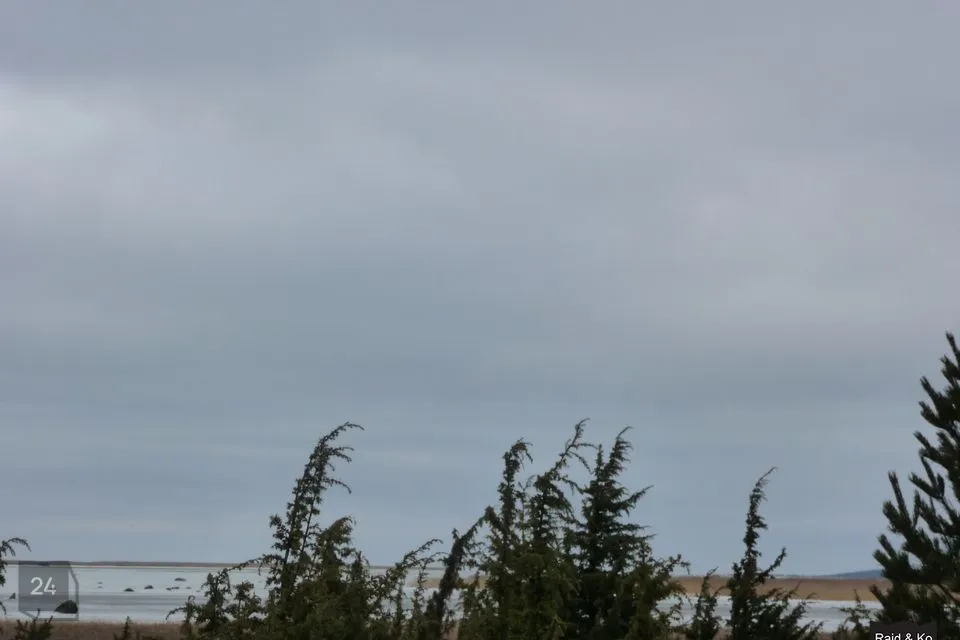 Maatulundusmaa, 27900 m² Maa  -  Haapsalu linn, Puise küla - foto 4