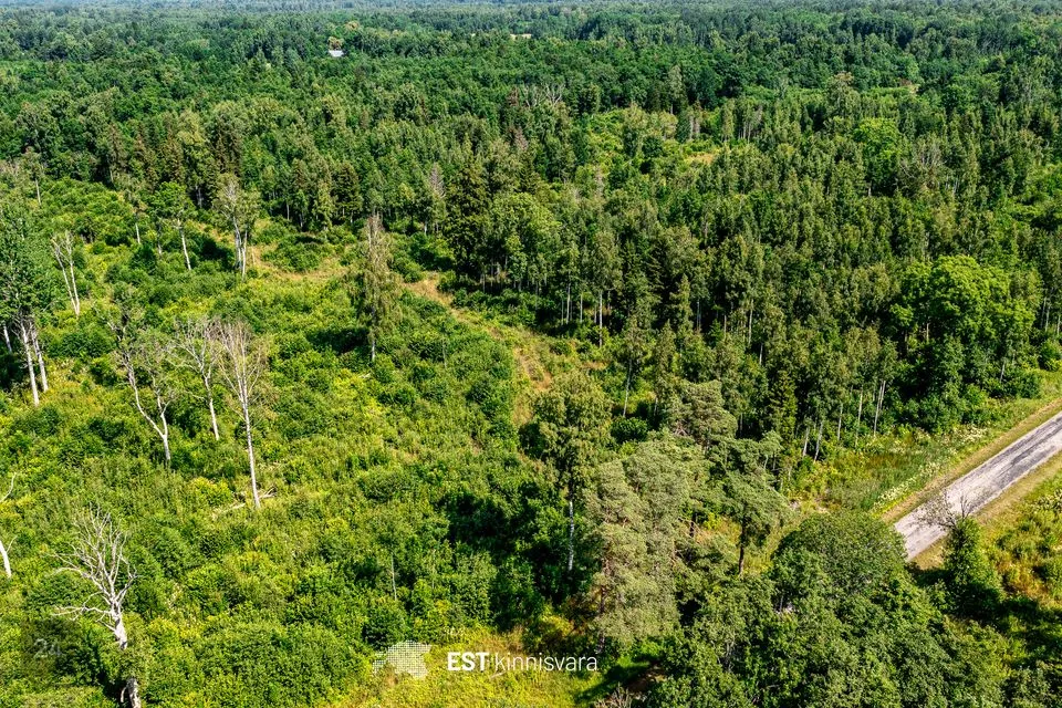Maatulundusmaa, 10012 m² участок в Lääneranna vald, Rädi küla