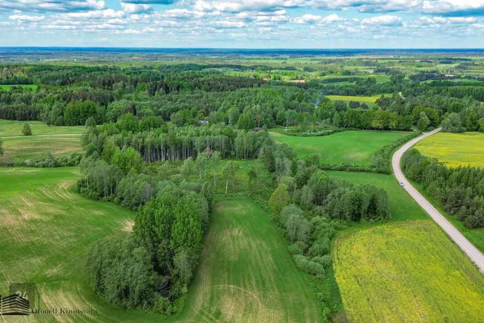 Maatulundusmaa, 21852 m² Maa  -  Võru vald, Andsumäe küla - foto 5