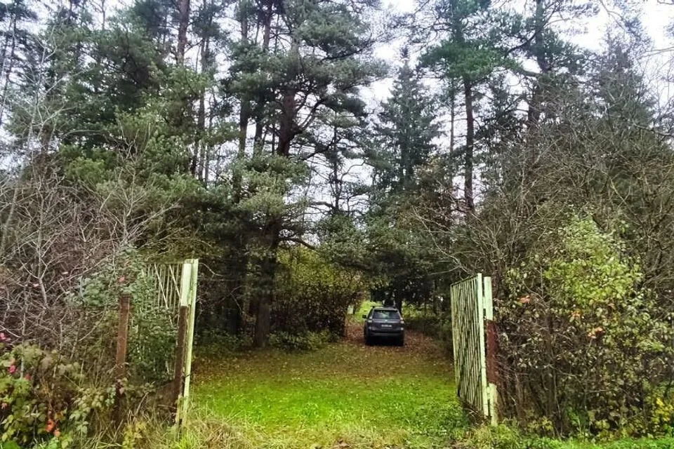 Maatulundusmaa, 6281 m² Maa  -  Saue vald, Laitse küla - foto 3