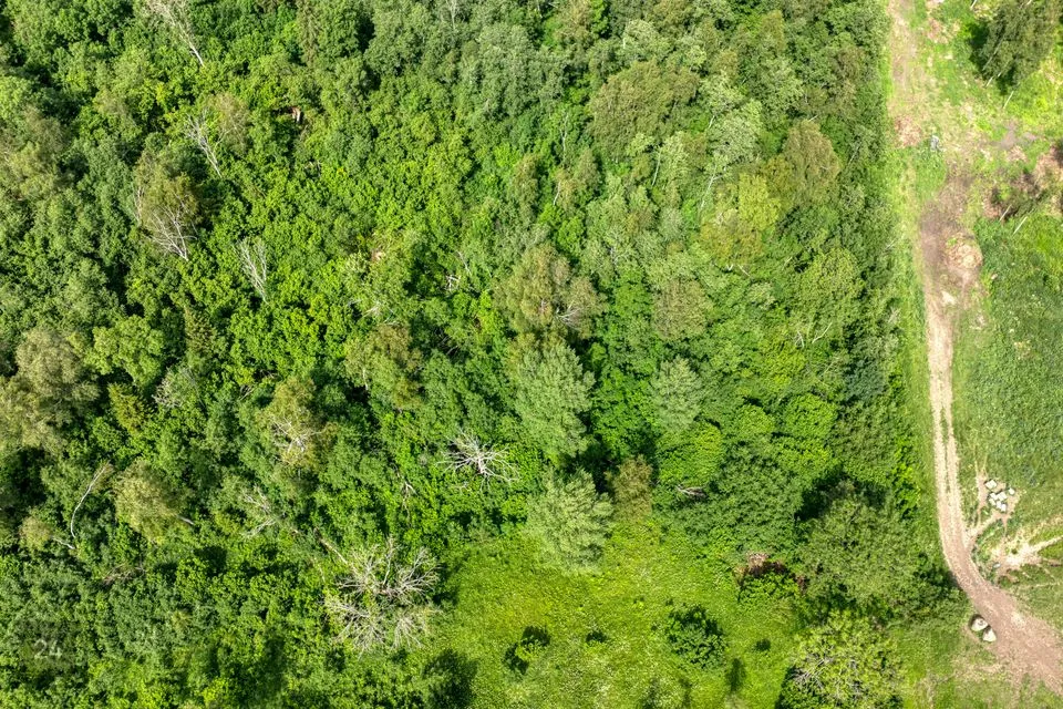 Maatulundusmaa, 3899 m² Maa  -  Kiili vald, Mõisaküla - foto 3