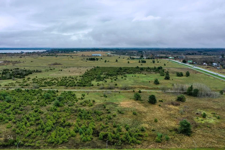 Maatulundusmaa, 23576 m² Maa  -  Harku vald, Muraste küla - foto 3