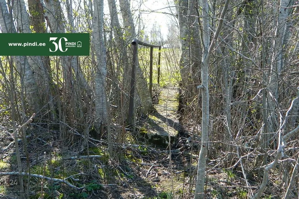 Maatulundusmaa, 51200 m² Maa - Türi vald, Jändja küla - foto 5