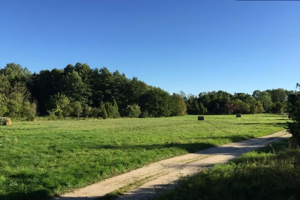 Maatulundusmaa, 4180 m² Maa  -  Lääneranna vald, Raespa küla - foto 2