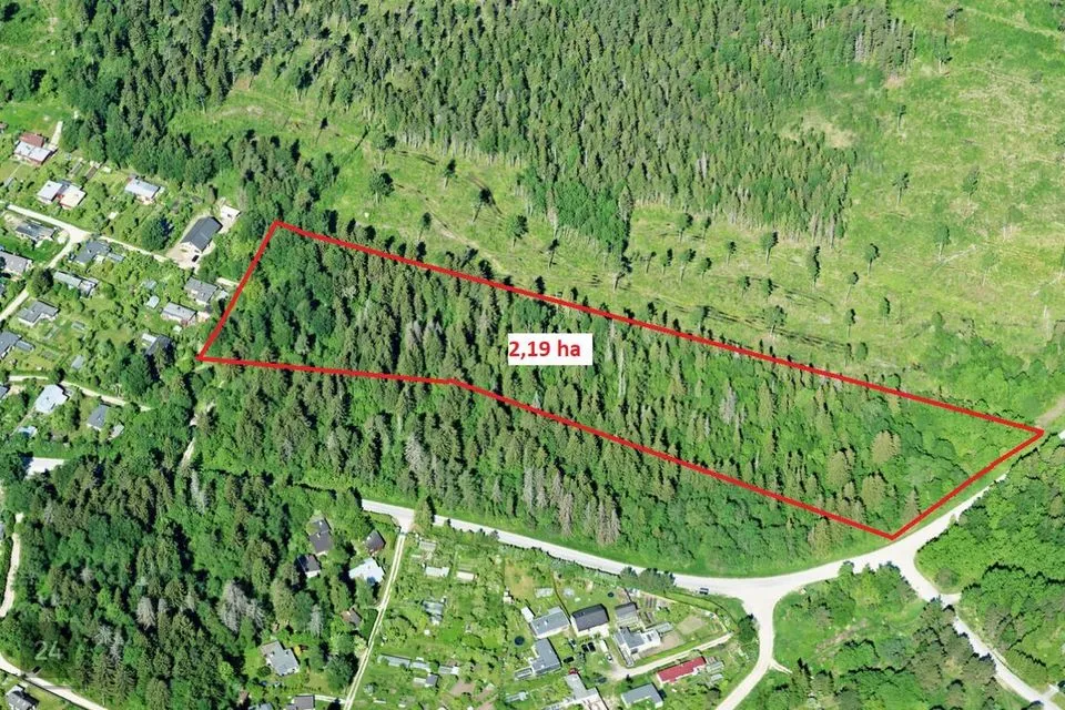 Maatulundusmaa, 21900 m² участок в Saue vald, Laitse küla - фото 3