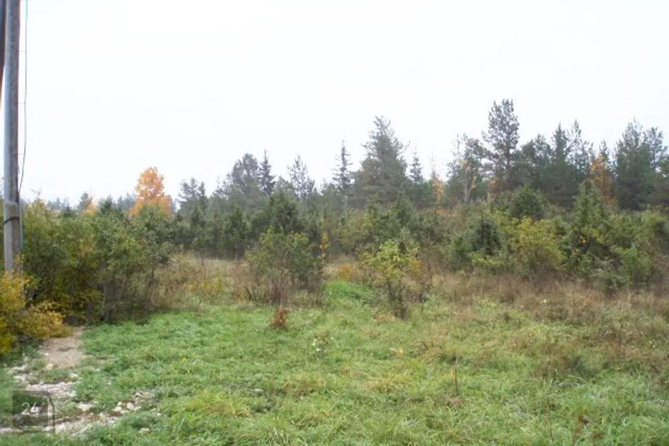 Elamumaa, 3908 m² Maa  -  Hiiumaa vald, Suuresadama küla - foto 4