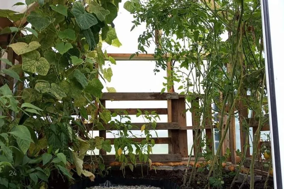 3-toaline Korter  -  Pärnu linn, Pärnu linn - foto 3