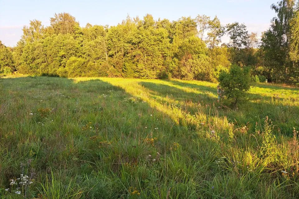 Elamumaa, 5073 m² Maa  -  Tartu vald, Erala küla - foto 4