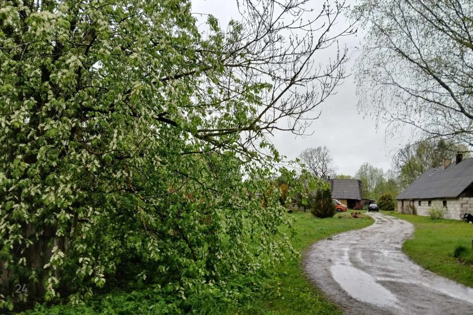 4-toaline Maja  -  Pärnu linn, Ridalepa küla - foto 2