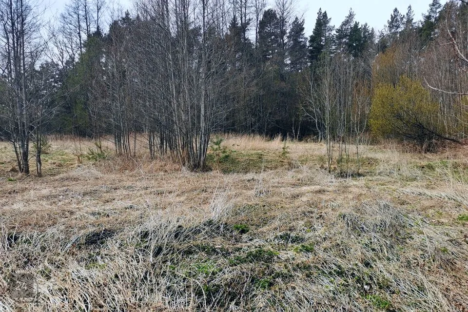 Maatulundusmaa, 17327 m² участок в Lääne-Nigula vald, Elbiku küla / Ölbäck - фото 4