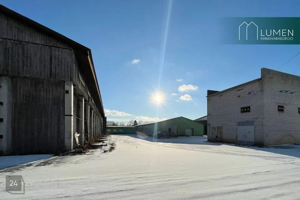 6500 m² Äripind  -  Lääne-Nigula vald, Vidruka küla - foto 5