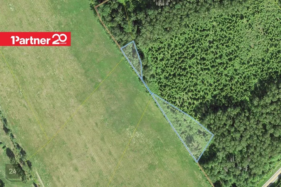 Maatulundusmaa, 4319 m² Maa - Viljandi vald, Sultsi küla - foto 2