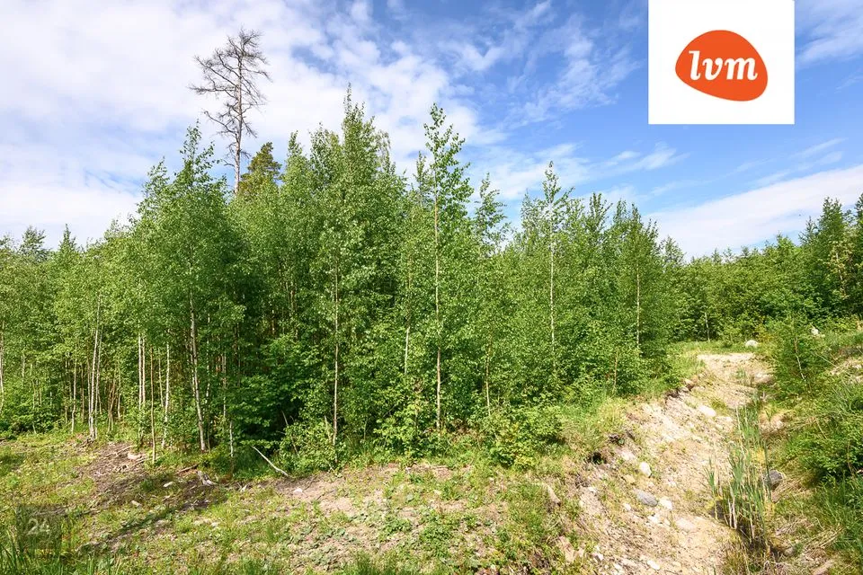 Maatulundusmaa, 4522 m² Maa  -  Lääneranna vald, Mereäärse küla - foto 4