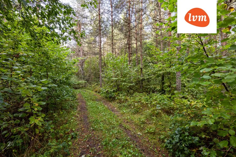 Maatulundusmaa, 59985 m² Maa  -  Lääne-Nigula vald, Telise küla / Tällnäs - foto 4