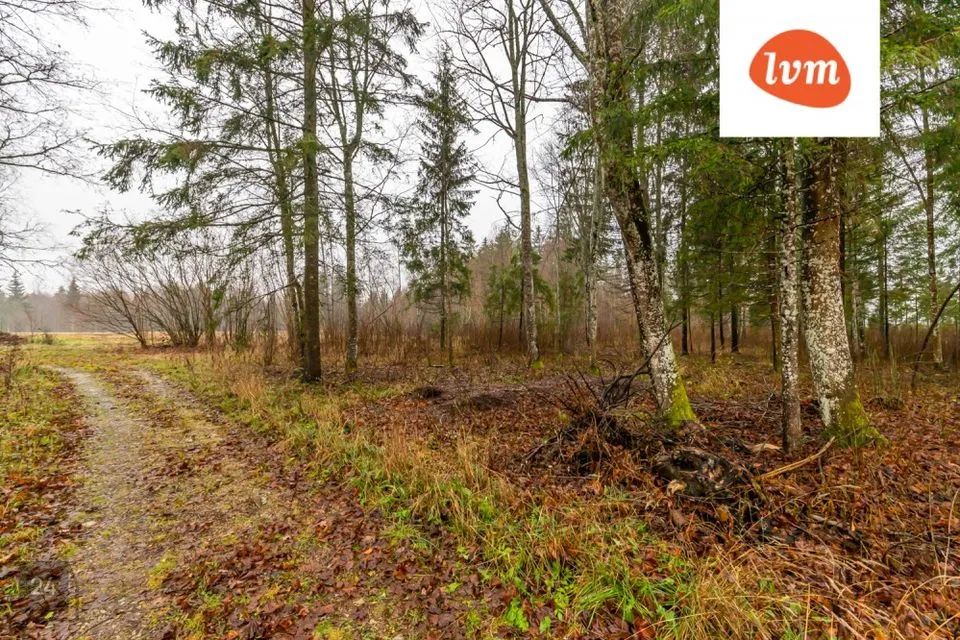 Elamumaa, 8603 m² Maa - Rapla vald, Juuru