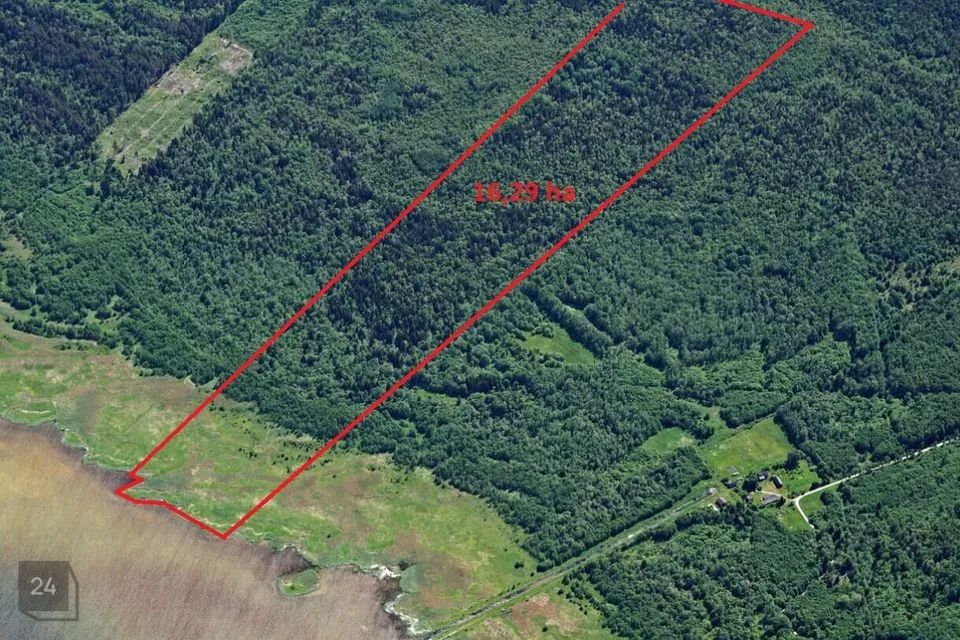 Maatulundusmaa, 162900 m² участок в Lääne-Harju vald, Pedase küla - фото 2