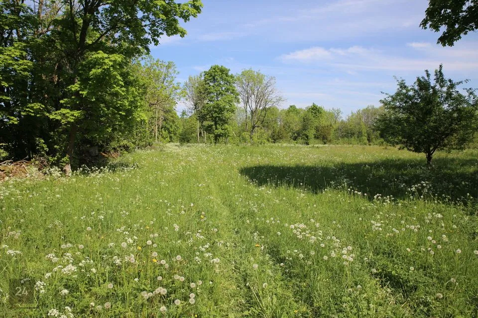 Maatulundusmaa, 28997 m² Maa  -  Muhu vald, Lehtmetsa küla - foto 5