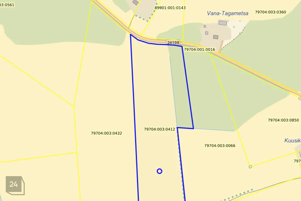 Maatulundusmaa, 60000 m² Maa  -  Viljandi vald, Vooru küla - foto 2
