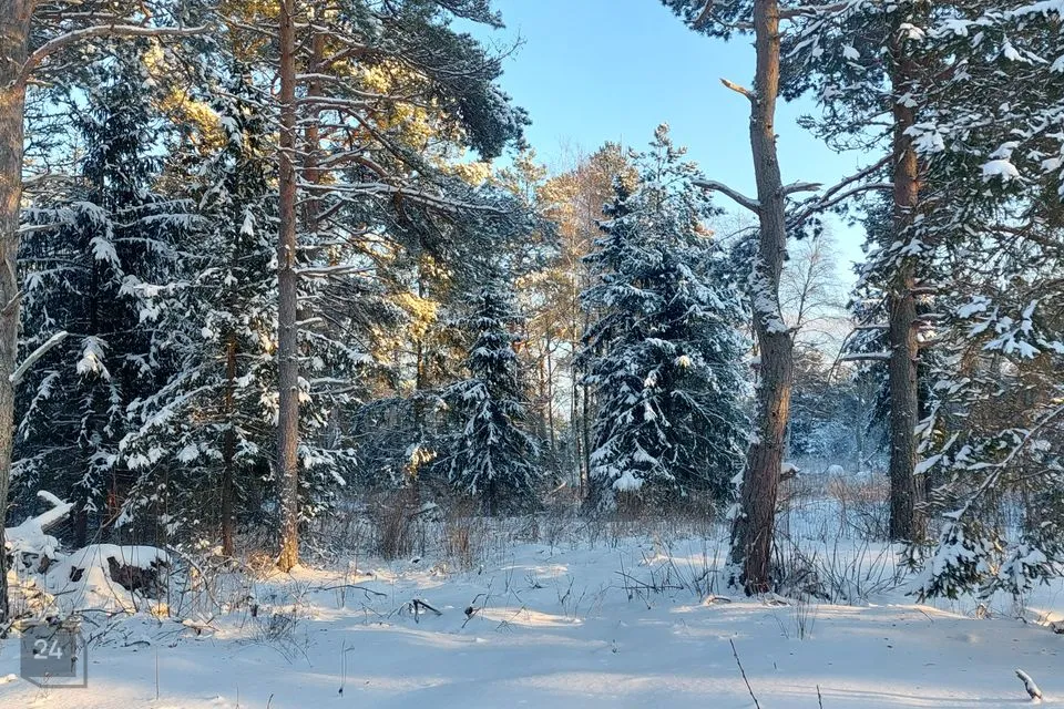 Elamumaa, 5001 m² Maa  -  Lääne-Harju vald, Meremõisa küla