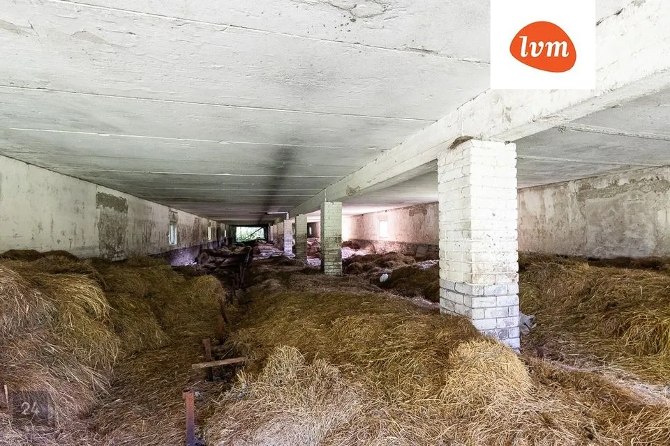 1-toaline Maja  -  Tartu vald, Tormi küla - foto 4