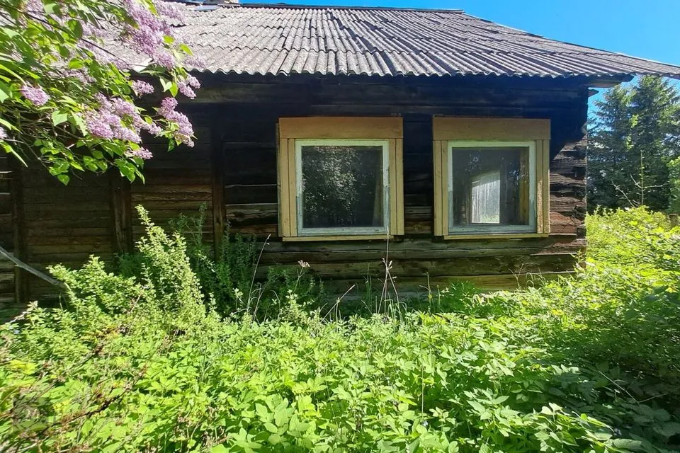Земля жилой застройки, 5325 m² участок в Lääne-Nigula vald, Tagavere küla - фото 4