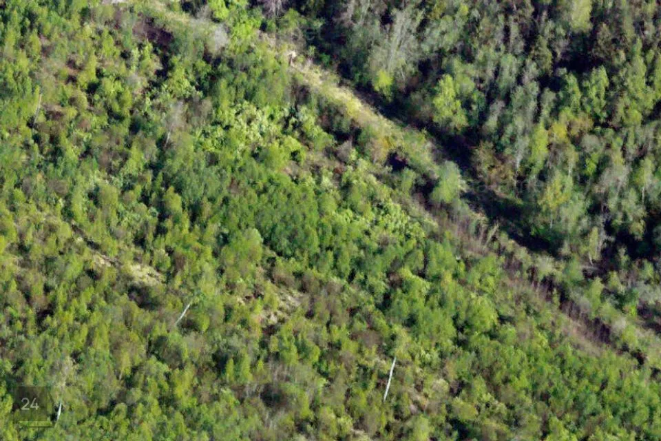 Maatulundusmaa, 20009 m² участок в Saue vald, Mõnuste küla