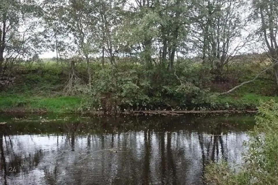 Elamumaa, 83614 m² Maa - Harku vald, Türisalu küla - foto 4