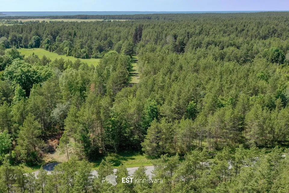 Maatulundusmaa, 67475 m² участок в Saaremaa vald, Ninase küla - фото 2