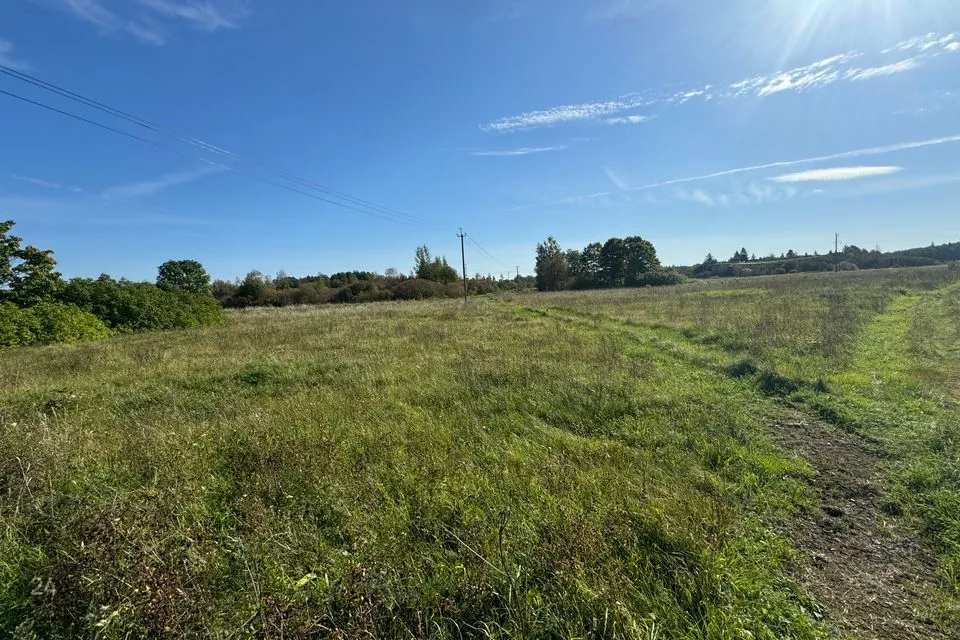 Maatulundusmaa, 149093 m² Maa  -  Narva-Jõesuu linn, Vaivara küla - foto 2