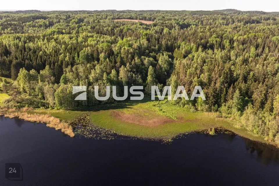 Maatulundusmaa, 500000 m² участок в Rõuge vald, Mahtja küla