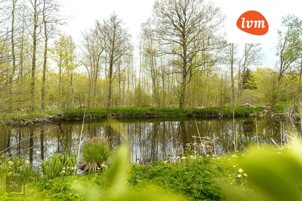 Maja - Saaremaa vald, Läbara - foto 5