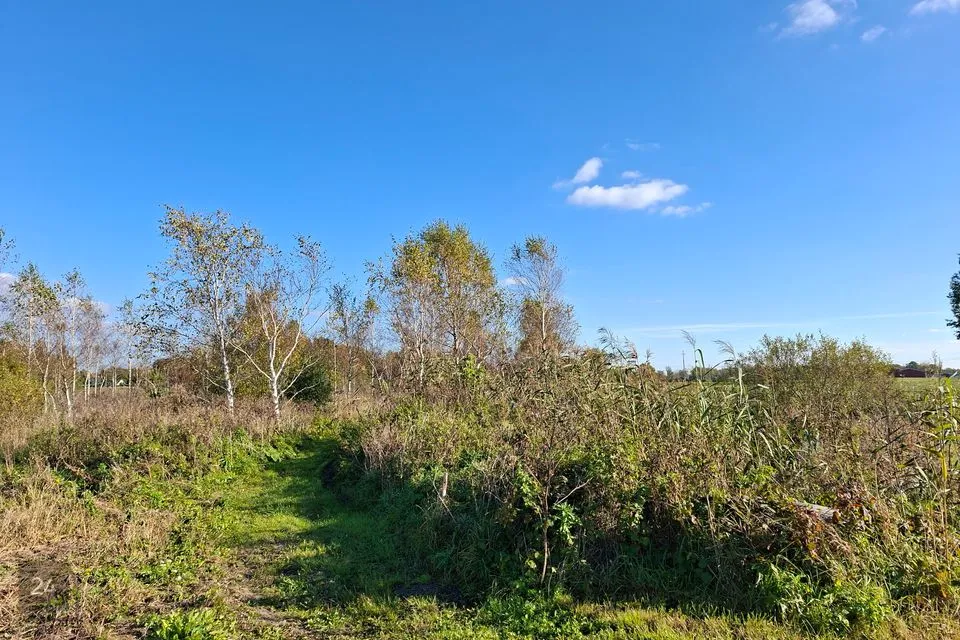 Maatulundusmaa, 5007 m² Maa  -  Lääne-Nigula vald, Linnamäe küla - foto 3