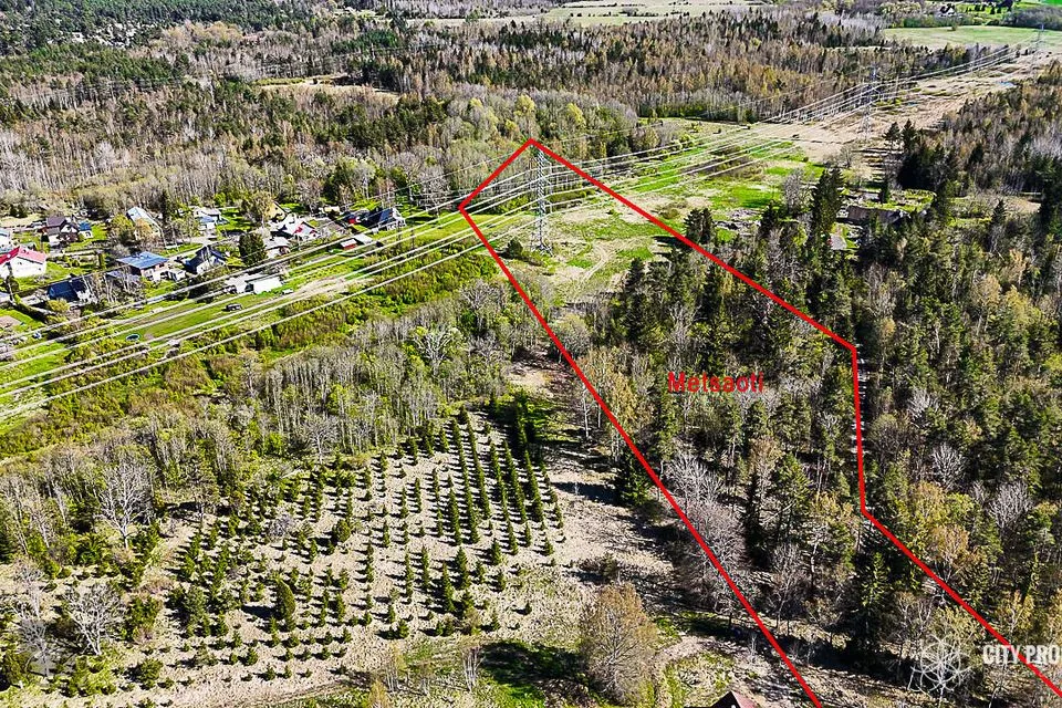 Maatulundusmaa, 20003 m² участок в Saku vald, Üksnurme küla - фото 3