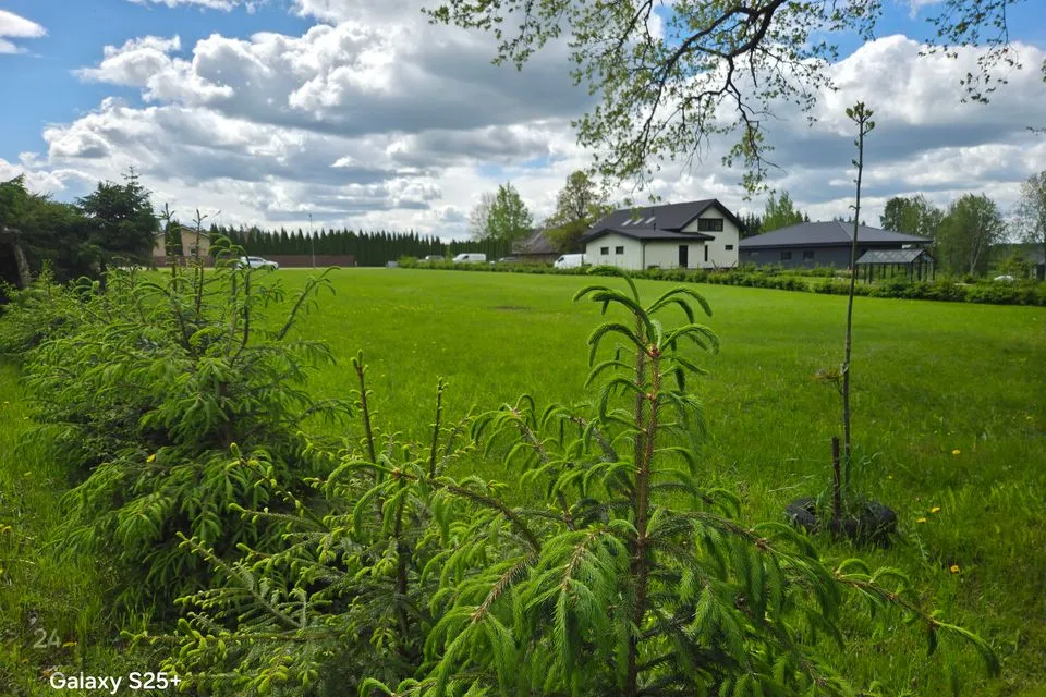 Elamumaa, 2535 m² Maa  -  Viljandi vald, Sinialliku küla - foto 5
