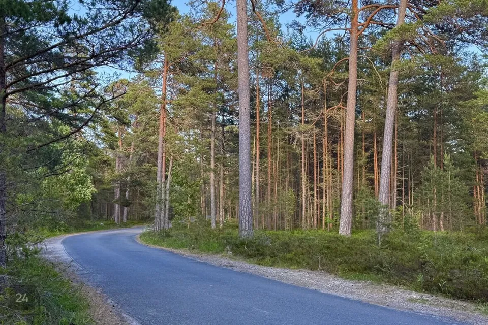 Elamumaa, 5360 m² Maa  -  Lääne-Nigula vald, Elbiku küla / Ölbäck