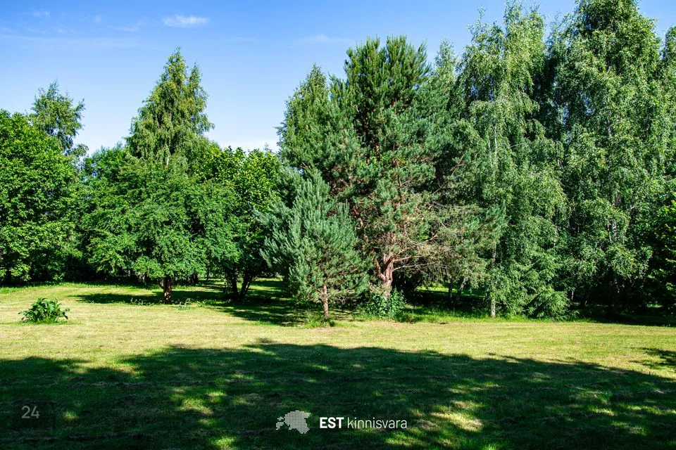 Elamumaa, 2581 m² Maa  -  Kastre vald, Mõra küla - foto 2