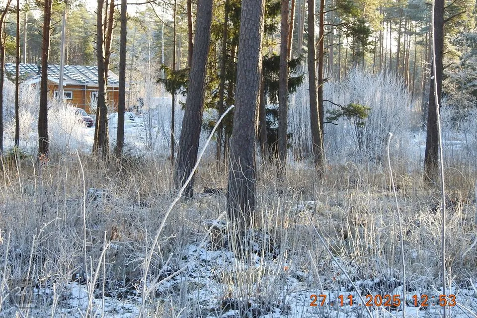 Elamumaa, 6053 m² Maa  -  Kohila vald, Aandu küla - foto 4