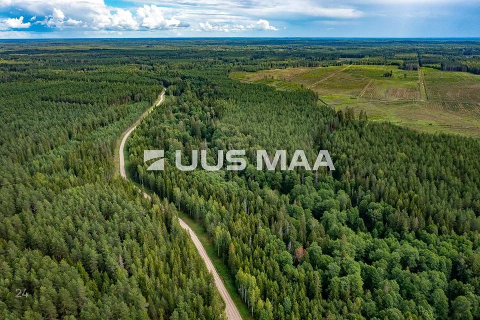 Maatulundusmaa, 23700 m² участок в Anija vald, Pillapalu küla